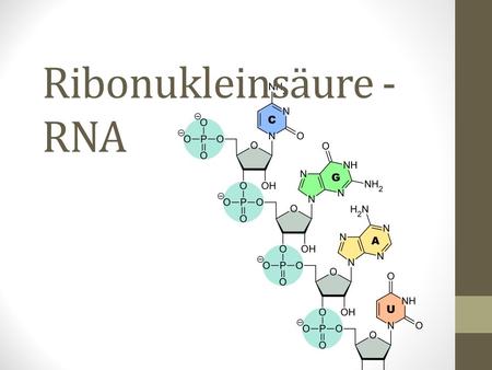 Ribonukleinsäure - RNA