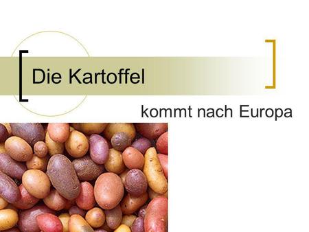 Die Kartoffel kommt nach Europa.