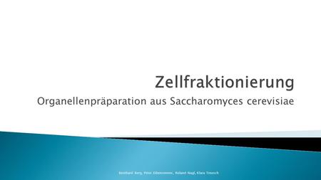 Organellenpräparation aus Saccharomyces cerevisiae