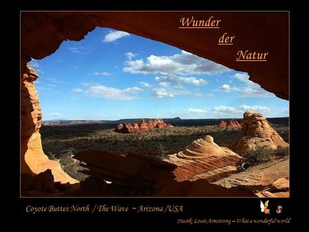 Wunder der Natur Coyote Buttes North / The Wave ~ Arizona /USA