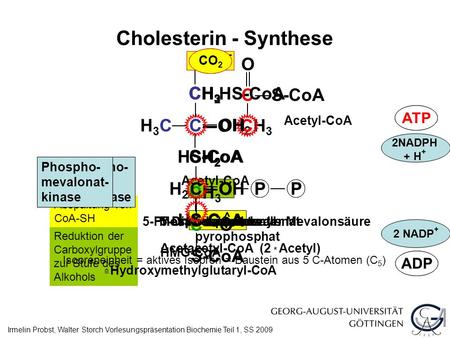 Cholesterin - Synthese