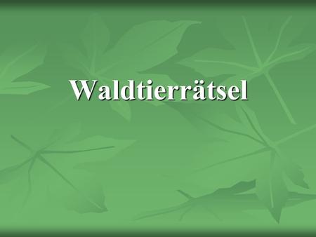 Waldtierrätsel.