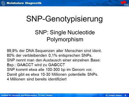 SNP: Single Nucleotide Polymorphism
