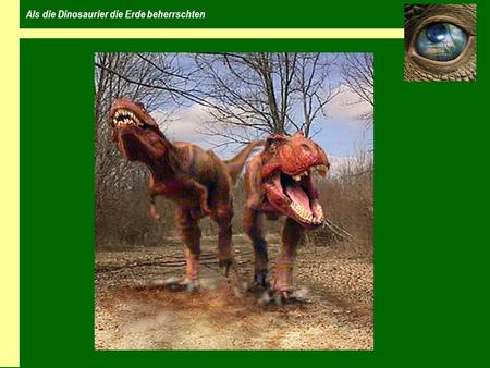 Als die Dinosaurier die Erde beherrschten. Wer waren die Dinosaurier Tierfamilie der Reptilien eierlegende Tiere erste Dinosaurier vor etwa 220 Millionen.
