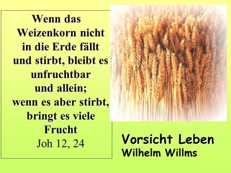 Vorsicht Leben Wilhelm Willms