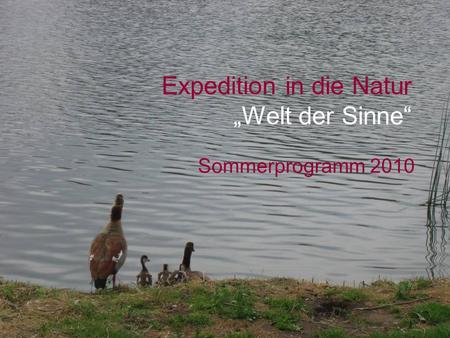 Expedition in die Natur Welt der Sinne Sommerprogramm 2010.