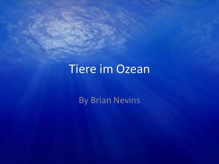 Tiere im Ozean By Brian Nevins.