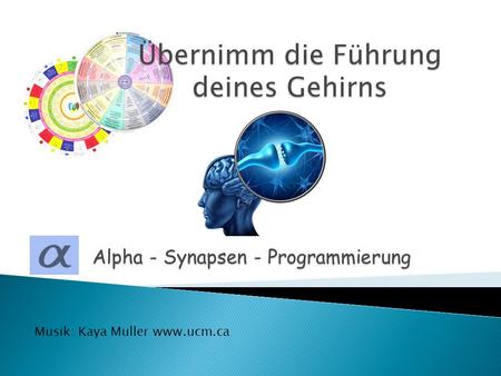 Alpha - Synapsen - Programmierung