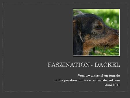 Faszination - Dackel Von:
