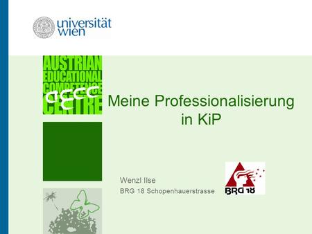 Meine Professionalisierung in KiP Wenzl Ilse BRG 18 Schopenhauerstrasse.