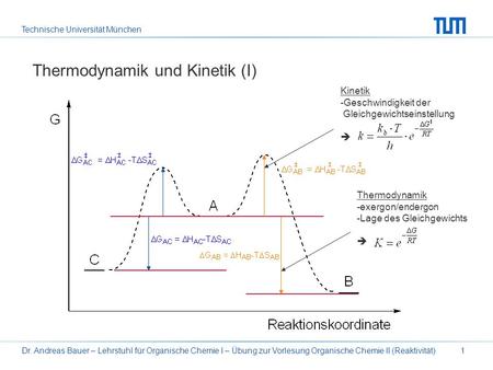 Thermodynamik und Kinetik (I)