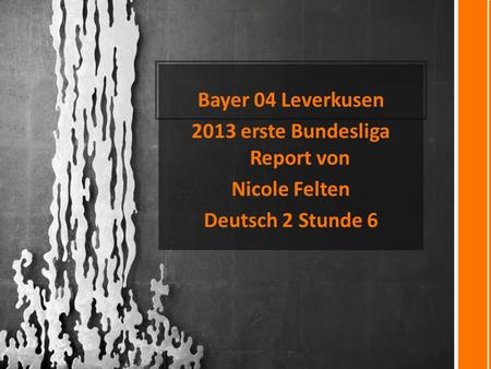 2013 erste Bundesliga Report von