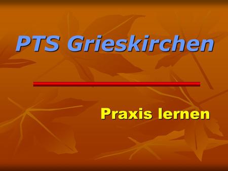 PTS Grieskirchen Praxis lernen.