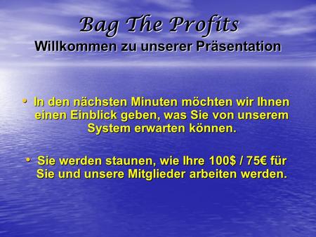 Bag The Profits Willkommen zu unserer Präsentation