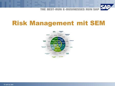 Risk Management mit SEM
