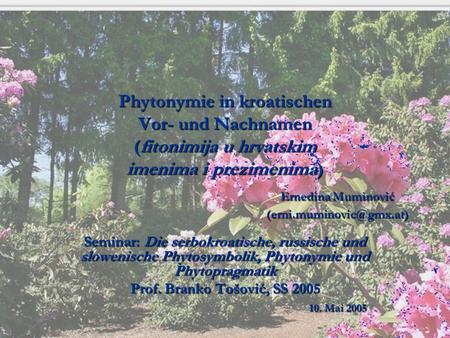 Phytonymie in kroatischen Vor- und Nachnamen (fitonimija u hrvatskim imenima i prezimenima) 					Ernedina Muminović 					(erni.muminovic@gmx.at) Seminar: