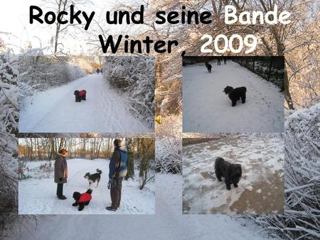 Rocky und seine Bande im Winter, 2009