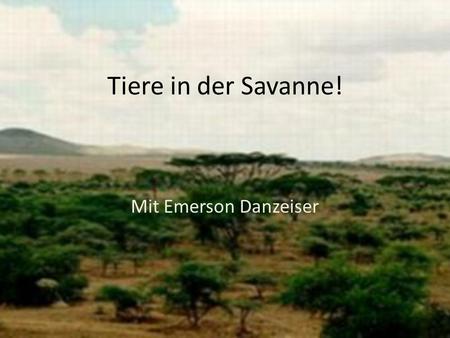 Tiere in der Savanne! Mit Emerson Danzeiser.