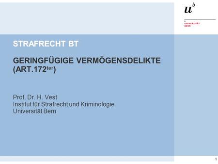 1 STRAFRECHT BT STRAFRECHT BT GERINGFÜGIGE VERMÖGENSDELIKTE (ART.172 ter ) Prof. Dr. H. Vest Institut für Strafrecht und Kriminologie Universität Bern.