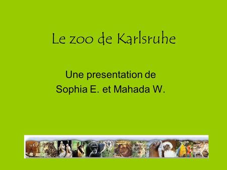 Une presentation de Sophia E. et Mahada W.