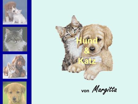 Hund & Katz von Margitta.