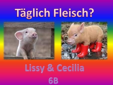 Täglich Fleisch? Lissy & Cecilia 6B.