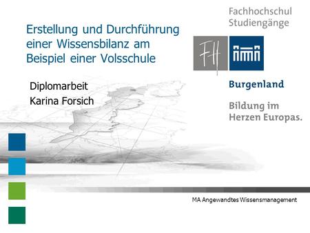 Diplomarbeit Karina Forsich