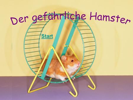 Der gefährliche Hamster
