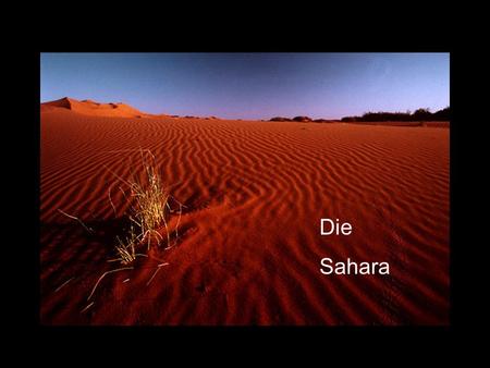 Sahara Die Sahara Die Sahara.