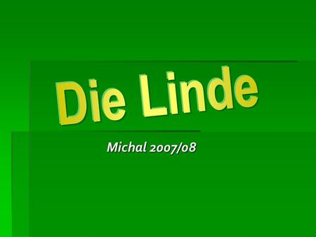 Die Linde Michal 2007/08.