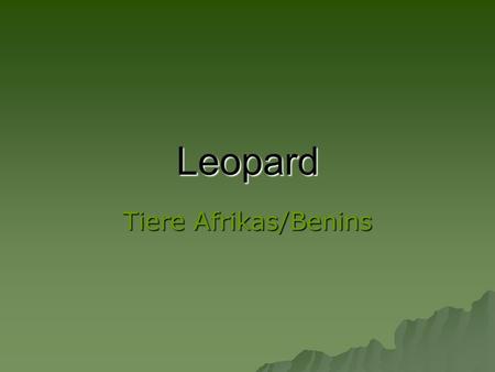 Leopard Tiere Afrikas/Benins.