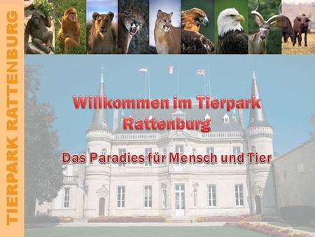TIERPARK RATTENBURG Überblick Geschichte der Tierparks Anfahrt und Lage Unsere Tiere Forschung und Wissenschaft Zahlen und Fakten Termine und Kontakt.