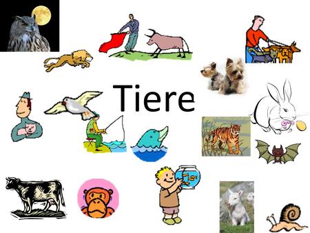 Tiere.