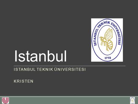 Istanbul ISTANBUL TEKNIK ÜNIVERSITESI KRISTEN. Studium an der ITÜ Geophysical Engineering Mining Engineering Petroleum and Natural Gas Engineering Mineral.