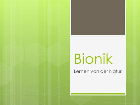 Bionik Lernen von der Natur.