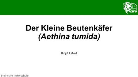 Der Kleine Beutenkäfer (Aethina tumida)