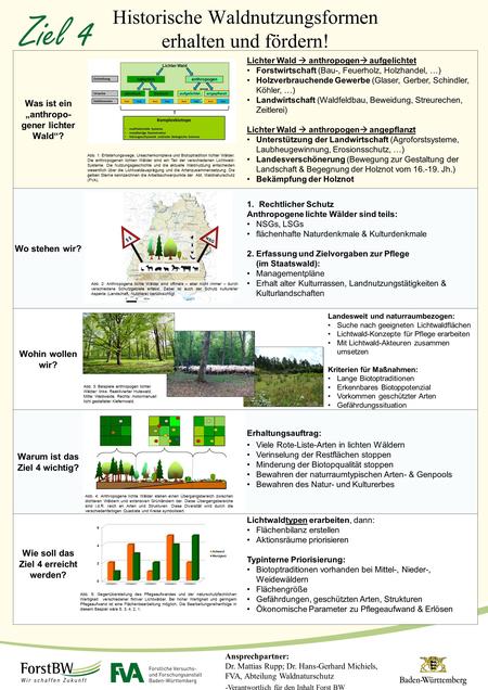 Ziel 4 Historische Waldnutzungsformen erhalten und fördern!