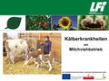 Kälberkrankheiten am Milchviehbetrieb