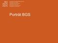 Seite 1 Porträt BGS. Seite 2 / BGS 2015 Inhalt 1.Meilensteine 2.Aufgaben des BGS 3.Positionen des BGS 4.Organigramm 5.Mitglieder 6.Rolle der Fachgruppen.