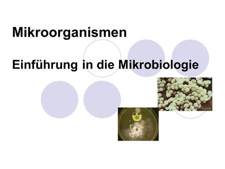 Mikroorganismen Einführung in die Mikrobiologie.