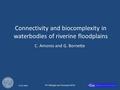 PP Ökologie von Flussauen 2010 23.07.2010 Connectivity and biocomplexity in waterbodies of riverine floodplains C. Amoros and G. Bornette.