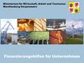 Ministerium für Wirtschaft, Arbeit und Tourismus Mecklenburg-Vorpommern Finanzierungshilfen für Unternehmen.