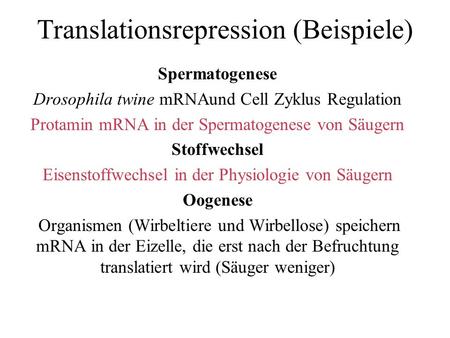 Translationsrepression (Beispiele) Spermatogenese Drosophila twine mRNAund Cell Zyklus Regulation Protamin mRNA in der Spermatogenese von Säugern Stoffwechsel.