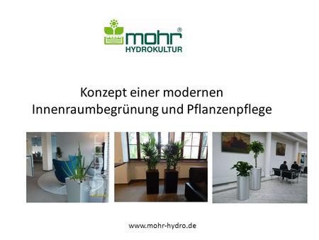 Konzept einer modernen Innenraumbegrünung und Pflanzenpflege www.mohr-hydro.de.