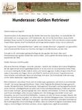 Hunderasse: Golden Retriever Geheimrezept aus England Ausnahmsweise ist die Abstammung des Golden Retriever klar zuzuordnen. Im auslaufenden 19. Jahrhundert.