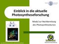Einblick in die aktuelle Photosyntheseforschung Modul zur Nachbereitung des Photosynthesekurses aus: M AGNUSON,Ann (2008): Artificial photosynthesis.