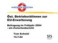 Öst. BetriebsrätInnen zur EU-Erweiterung Befragung im Frühjahr 2004 - ein Zwischenbericht Tom Schmid 15.7.04.