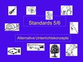 Standards 5/6 Alternative Unterrichtskonzepte. Leitgedanken NW (relevant für 5/6)  Was heißt Naturwissenschaft?  Beobachten, beschreiben, vergleichen.