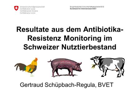 Eidgenössisches Volkswirtschaftsdepartement EVD Bundesamt für Veterinärwesen BVET Resultate aus dem Antibiotika- Resistenz Monitoring im Schweizer Nutztierbestand.