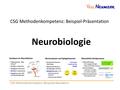 CSG Methodenkompetenz: Beispielpräsentation CSG Methodenkompetenz: Beispiel-Präsentation Neurobiologie.